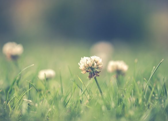 Choisir un funérarium à Angoulême